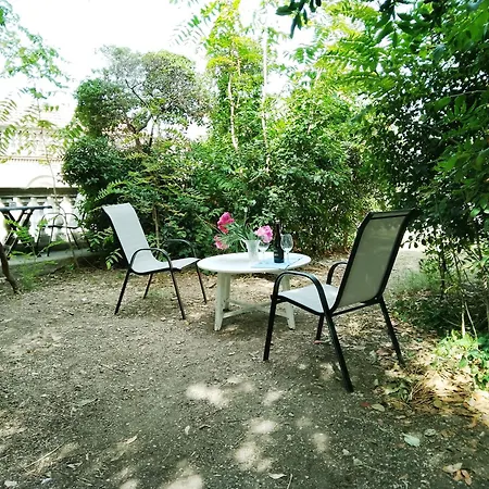 Lägenhet Garden In The Center Split