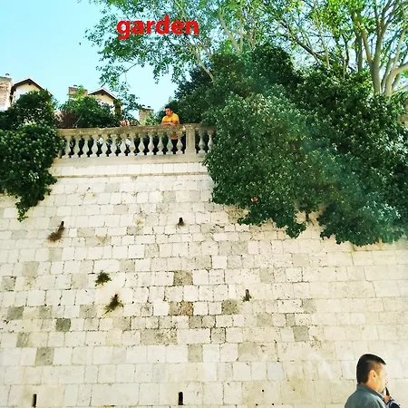 Garden In The Center