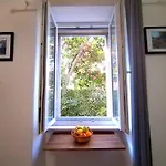 Garden In The Center * Split