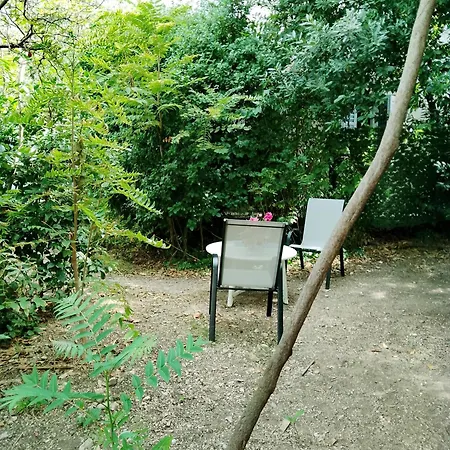 Апартаменты Garden In The Center *