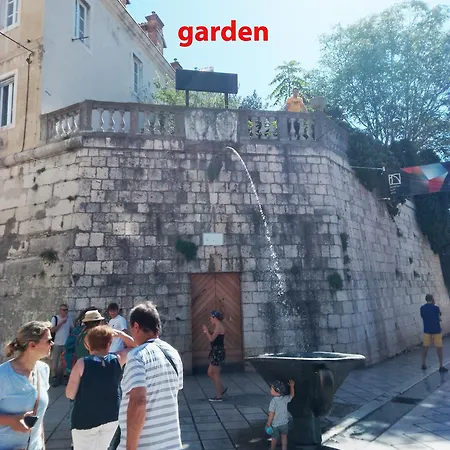 Garden In The Center * スプリト