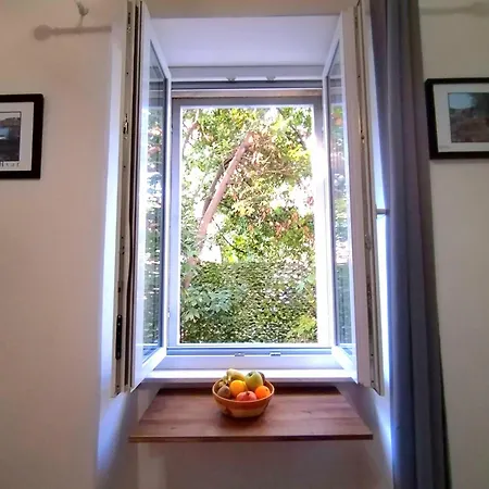 Garden In The Center * Σπλιτ